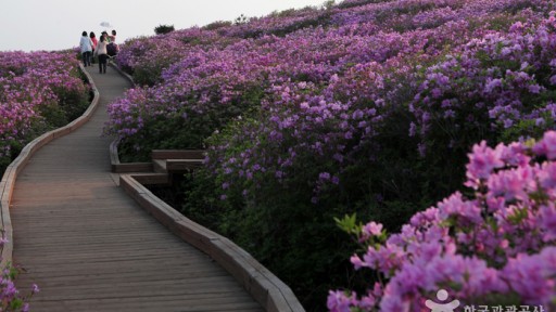 황매산